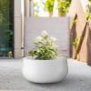 imageKante 196quot157quot118quot Dia Round Concrete Planters Set of 3 Outdoor Indoor Large Plant Pots with Drainage Hole Modern Curvaceous Design Weathered ConcretePure White