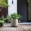 imageKante Large Round Concrete Planter 173quot Dia ClassicStyle Plant Pot with Drainage Hole Ideal for Home Patio Garden Flowers Trees Weathered Concrete Finish with Warm Brown InteriorWeathered Concrete