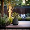 imageKante 130quot Dia Round Fluted Concrete Planter Large Plant Pot with Drainage Smooth Black Finish with Warm Brown Interior for Indoor and Outdoor UseBlack