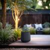imageKante 130quot Dia Round Fluted Concrete Planter Large Plant Pot with Drainage Smooth Black Finish with Warm Brown Interior for Indoor and Outdoor UseCharcoal