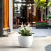 imageKante 142 Inch Round Concrete Planter  Classic Large IndoorOutdoor Plant Pot with Drainage Hole and Rubber Plug Suitable for Gardens and Patios White Finish with Aqua Blue InteriorWhite With Blue Interior