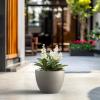 imageKante 142 Inch Round Concrete Planter  Classic Large IndoorOutdoor Plant Pot with Drainage Hole and Rubber Plug Suitable for Gardens and Patios White Finish with Aqua Blue InteriorWeathered Concrete With Green Interior