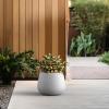 imageKante Curva Series Planter 125 Inch Round Concrete Flower Pot with Draiange Hole and Rubber Plug Suitable for Indoor Plants Home Garden Patio CharcoalWhite