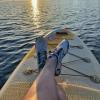 imageWateLves Water Shoes Mens Womens Barefoot Beach Swim Shoes QuickDry Aqua Socks Pool Shoes for Surf Yoga Water AerobicsClassic White